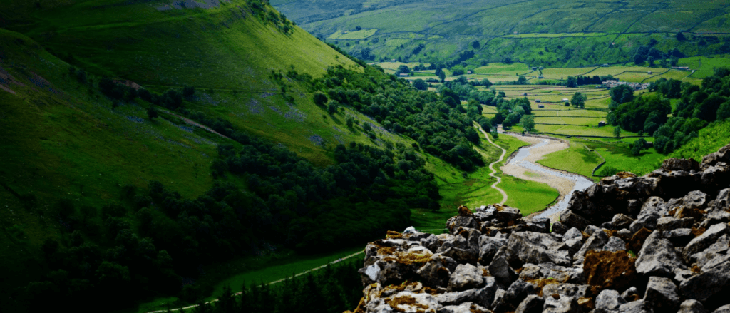 Accident And Work Injury Lawyers Group