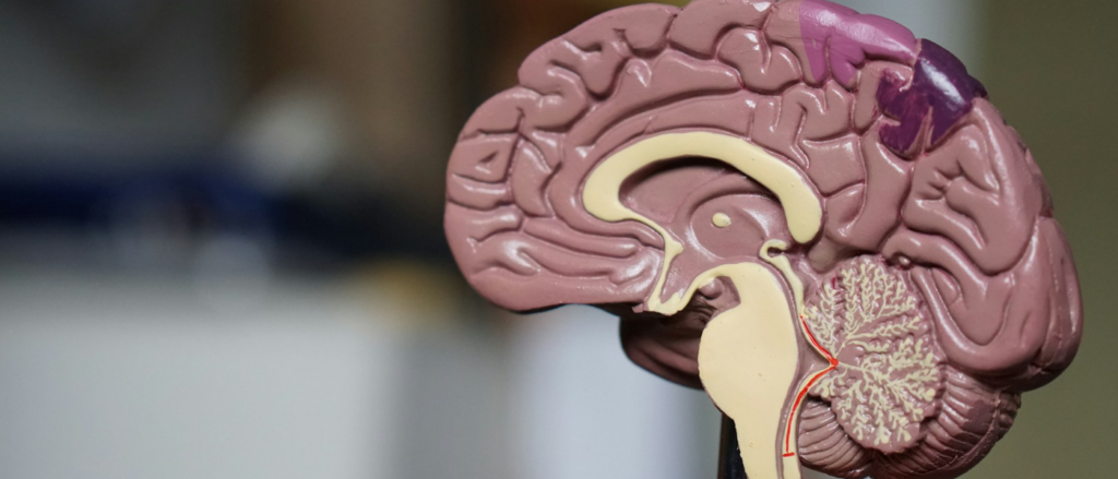 Brain Injury Compensation Claims Solicitor